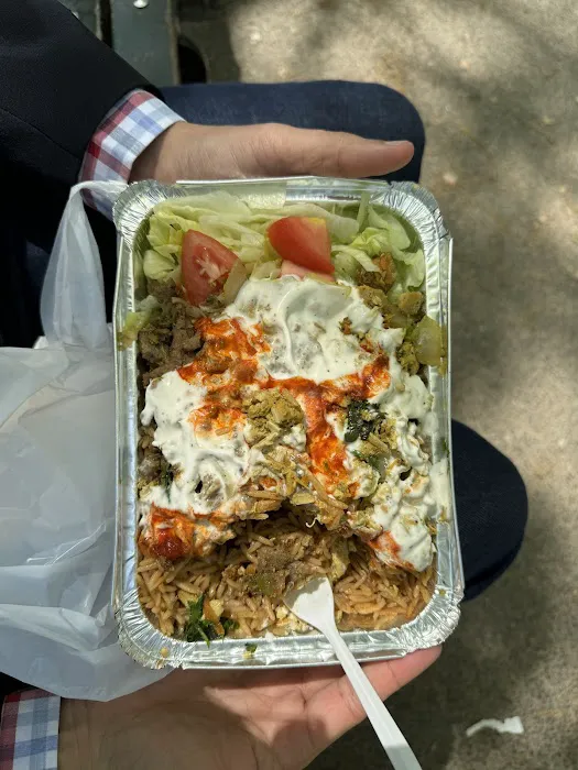 USA BEST HALAL FOOD Picture 4