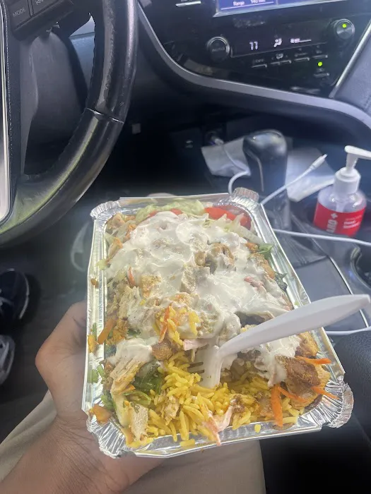 USA BEST HALAL FOOD Picture 7