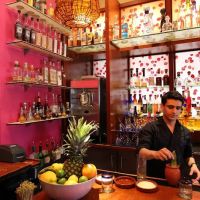 Rosa Mexicano ico