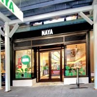NAYA ico