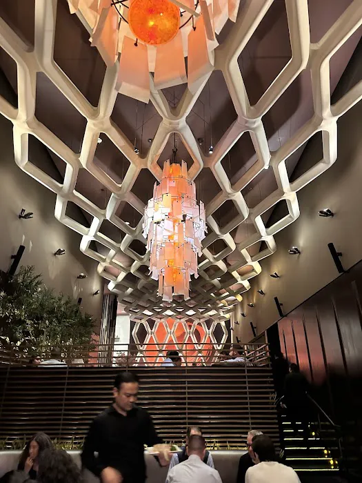 Koi New York Picture 4