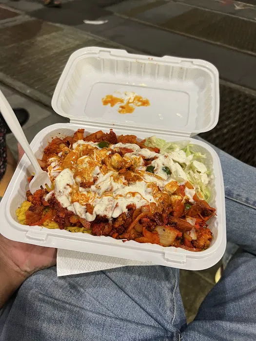 Royal Biryani Pakistani Halal Food Picture 3