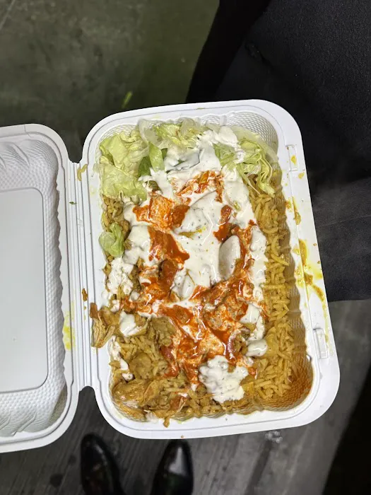 Royal Biryani Pakistani Halal Food Picture 4