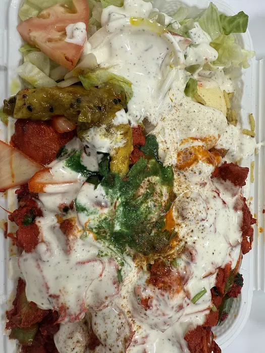 Royal Biryani Pakistani Halal Food Picture 5
