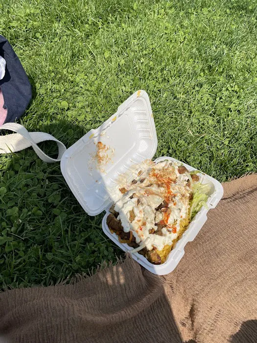 Royal Biryani Pakistani Halal Food Picture 9
