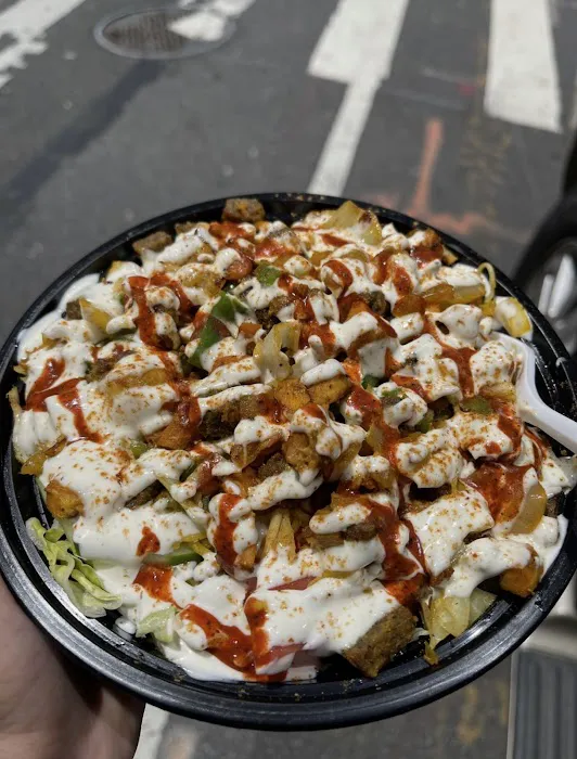 Indian Tasty Halal Food Picture 3