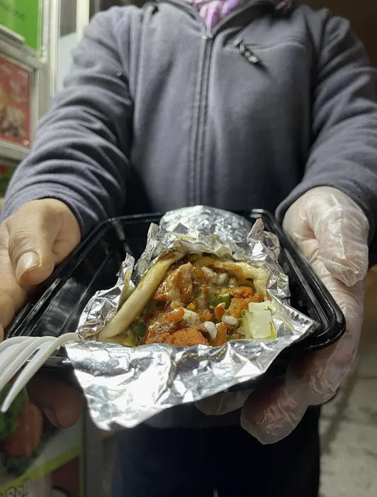 Indian Tasty Halal Food Picture 10