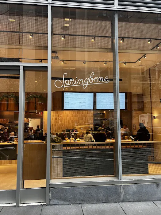 Springbone Kitchen Picture 1
