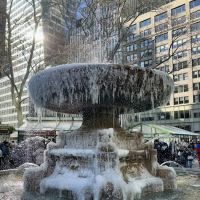 Bryan park ico
