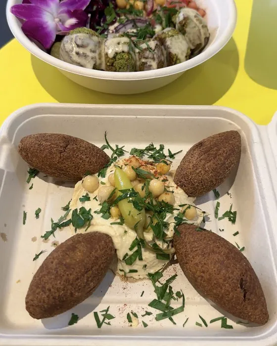 Falafel Plant Picture 5