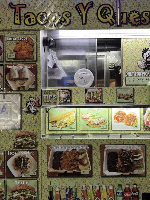 Tacos Y Quesadillas Picture 6