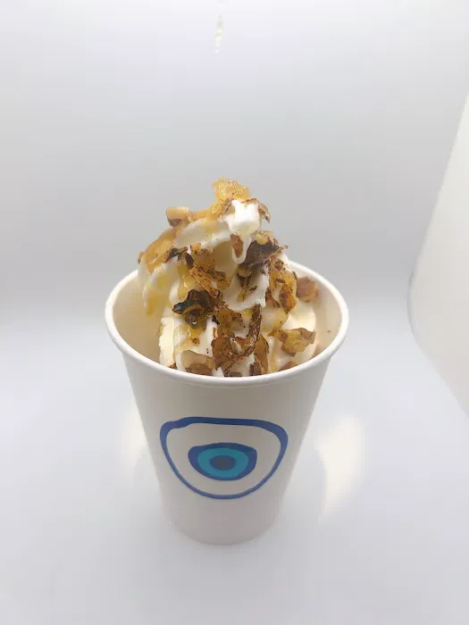 The Gyro Project Picture 4