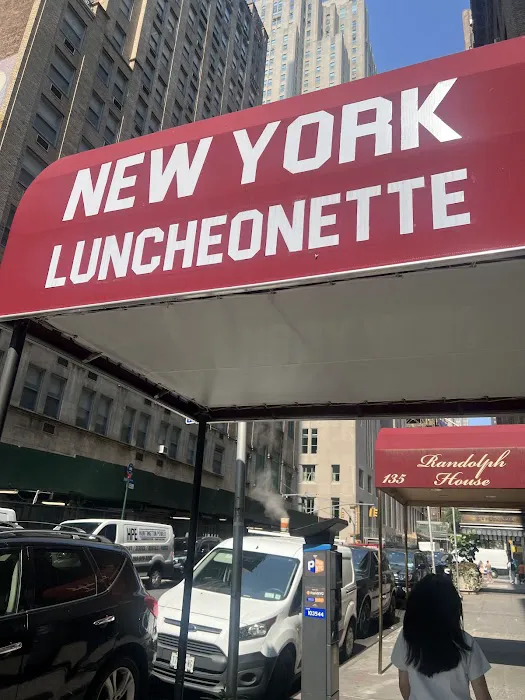 New York Luncheonette Picture 1