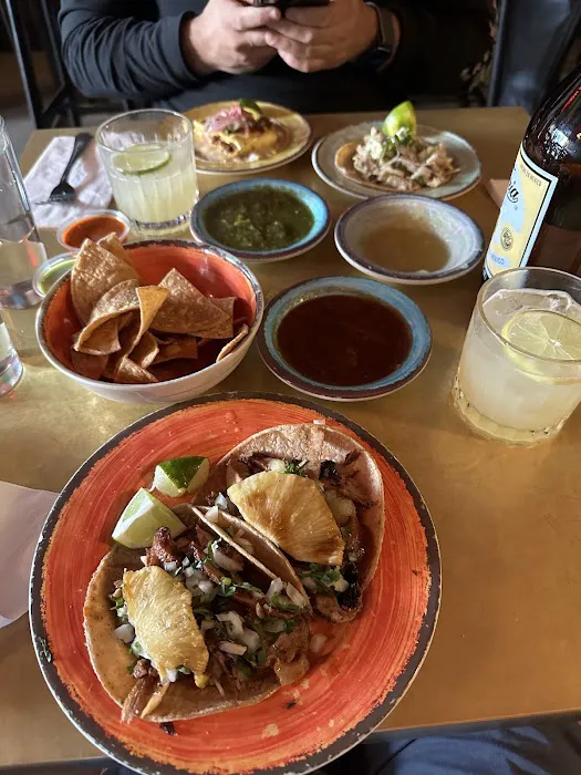 TacoVision Picture 5