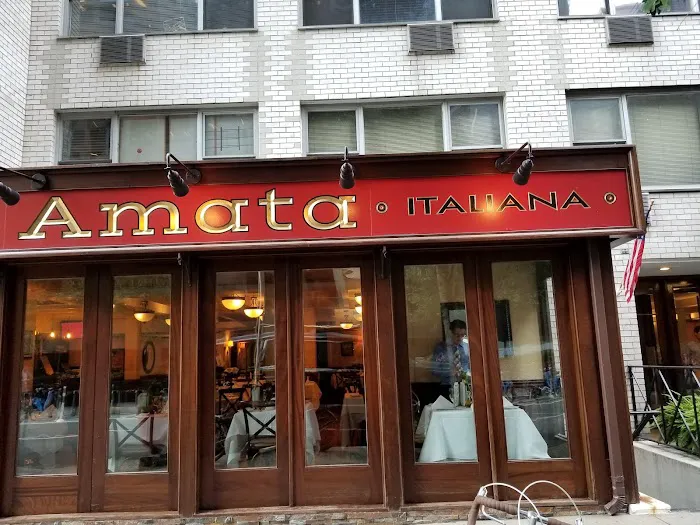 Amata Picture 8