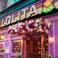 LOLITA ico