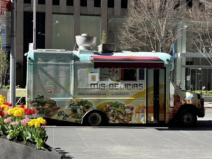 Thai mis Delicias (Truck. 4) Picture 5