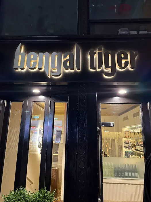 Bengal Tiger Picture 1