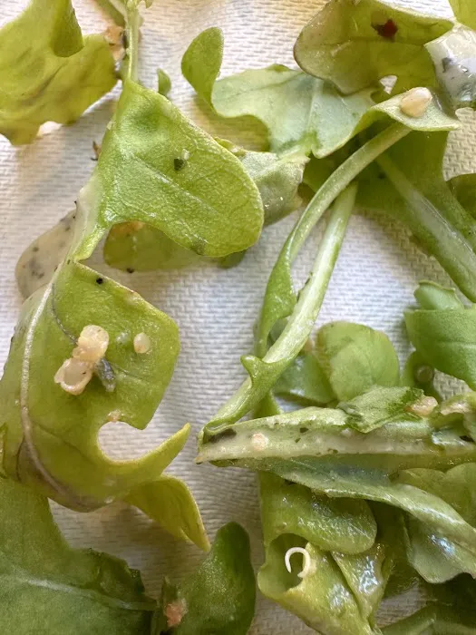sweetgreen Picture 10