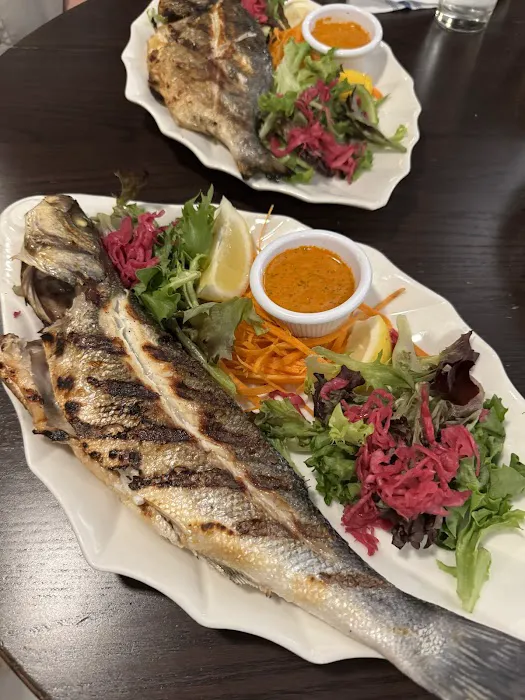 Akdeniz Mediterranean Cuisine Picture 6