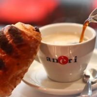 Robusta ico