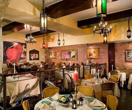 Iguana New York