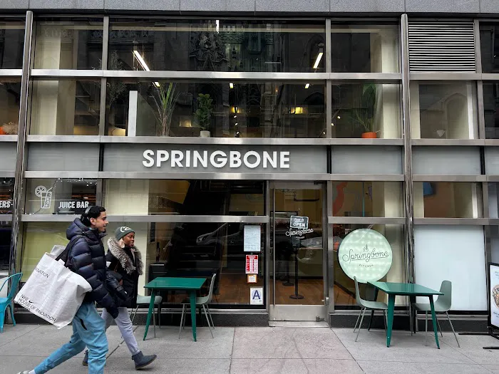 Springbone Kitchen Picture 8