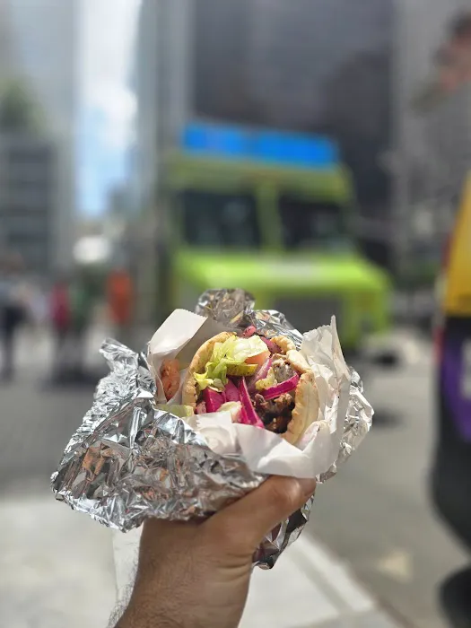King Of Falafel & Shawarma Cart Picture 1