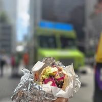King Of Falafel & Shawarma Cart ico