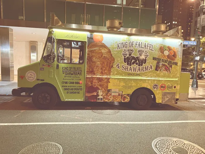 King Of Falafel & Shawarma Cart Picture 3