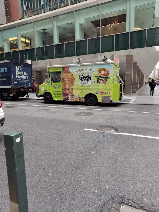 King Of Falafel & Shawarma Cart Picture 6