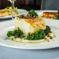 Ocean Prime ico