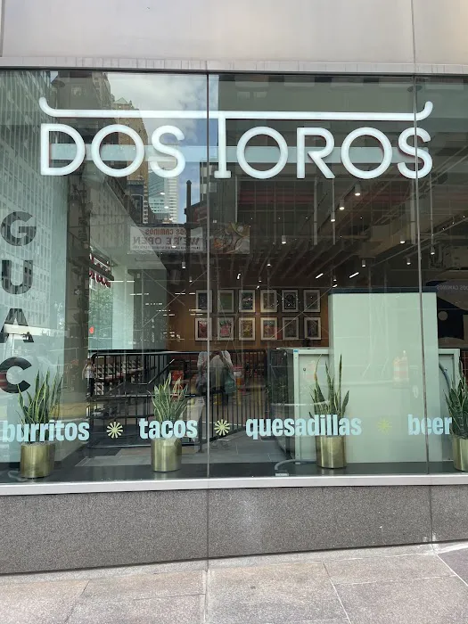 Dos Toros Taqueria Picture 5