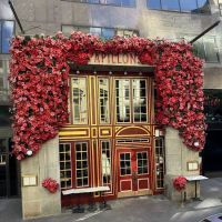 Papillon Bistro & Bar ico
