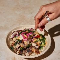 taïm mediterranean kitchen ico