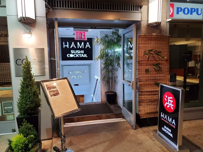 HAMA Picture 3