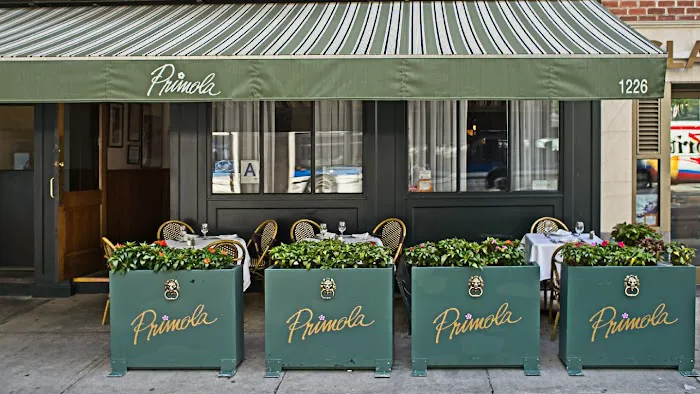Primola Picture 8