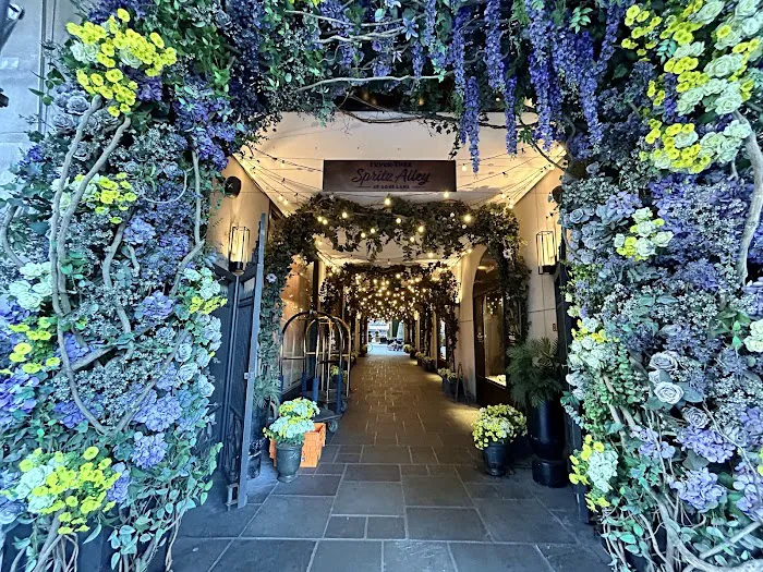 Rose Lane Picture 3