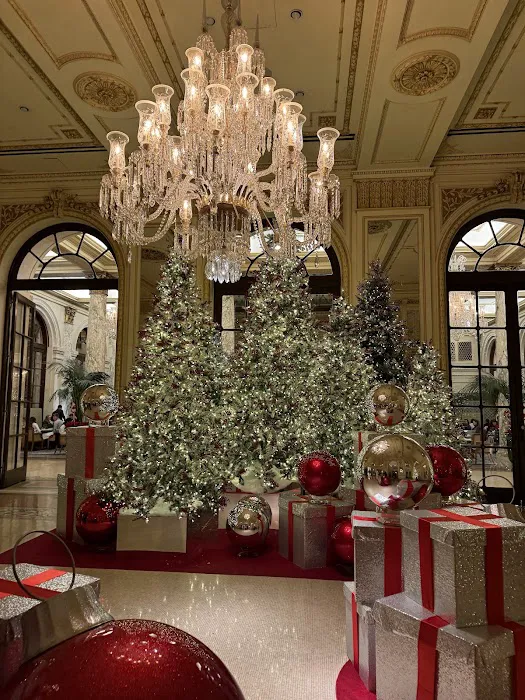 The Palm Court Picture 9