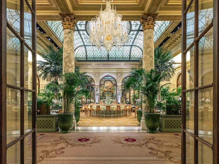 The Palm Court Picture 7
