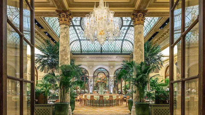 The Palm Court Picture 6