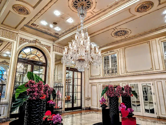The Palm Court Picture 8