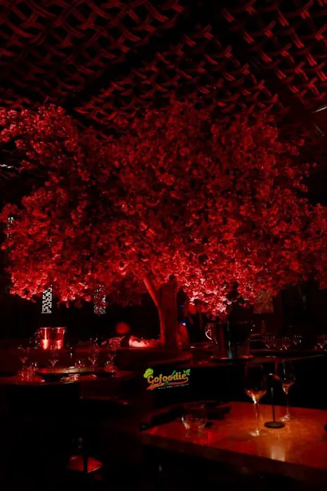 Gofoodie Restaurant & Café Limited Picture 5