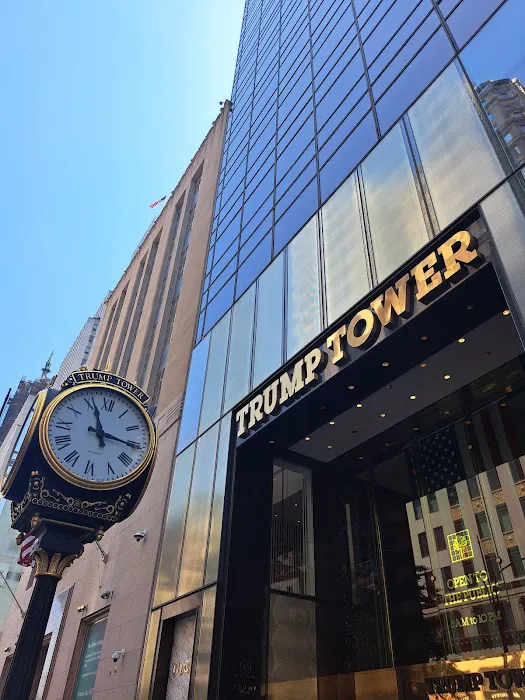 Trump Grill Picture 6
