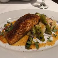Trump Grill ico