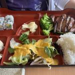 Kiku