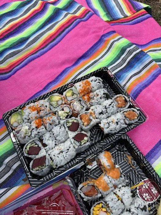 Sashimi Express II Picture 2
