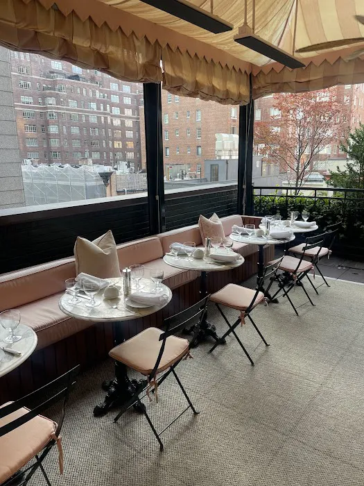 Casa Cruz Upper East Side Restaurant Picture 5