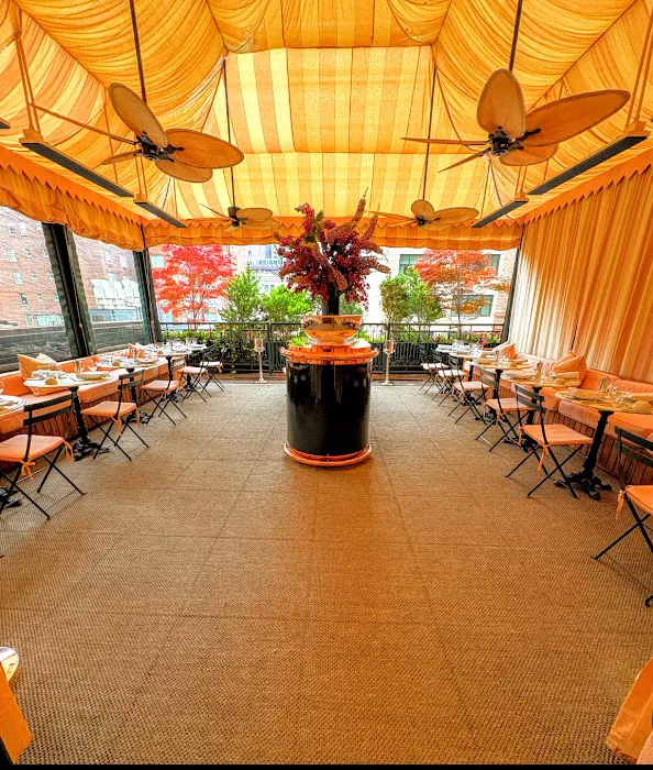 Casa Cruz Upper East Side Restaurant Picture 6