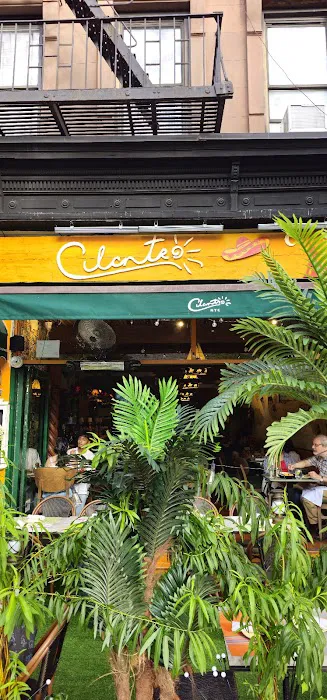 Cilantro NYC Picture 8